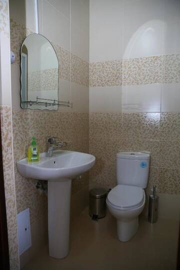 Фото номера Полулюкс Гостиница Luxor г. Ессентуки 4