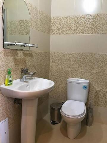 Фото номера Полулюкс Гостиница Luxor г. Ессентуки 12