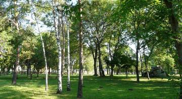 Фото Гостиница Жемчужина Кавказа г. Ессентуки 4