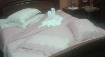 Фото номера Полулюкс Гостевой дом Aparts Hotel г. Ессентуки 7